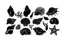 Set Of Silhouette Black Sea Shells, Algae And Starfish. Vector Illustration Isolated On A White Background.