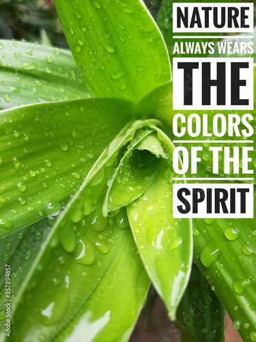 Fotografía Motivational quotes about life and nature, Nature is the spirit
