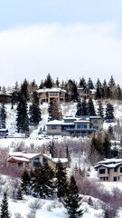 Canvas Print - Vertical frame Tall evergreens and luxurious homes on snowy mountain neighborhood in Park City