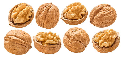 Wall Mural - walnut nuts, shelled and in shell, set isolated on white background