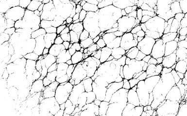 Wall Mural - scratched and cracked grunge urban background texture vector. dust overlay distress grainy grungy ef