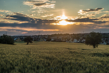 Poster - Sonnenuntergang hinter Agrarlandschaft