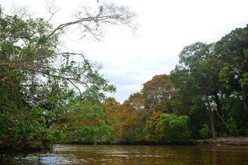 Klias River in Sabah, Malaysia