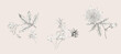 © TAOZHU GONG - Flowers watercolor illustration.Manual composition.Big Set watercolor elements，Design for textile, wallpapers，Element for design,Greeting card