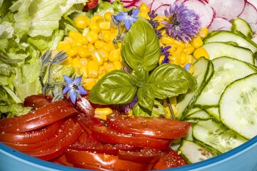 Poster - Closeup of fresh vegetable and flower salad topped with basil leaves