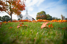 Background Defocused Pumpkin Patch Pumpkin Sale Outside White Traditional Church In Cooper Parish Beyond Goden Leaf In New England.