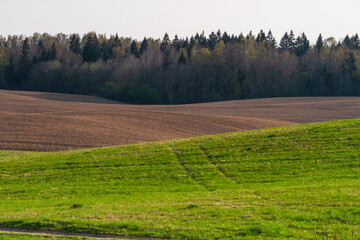  Cultivated land in early spring