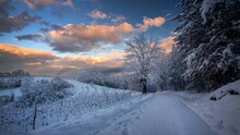 Breathtaking View Of A Pathway And Trees Covered In Snow Gleaming Under The Cloudy Sky In Croatia