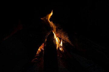 Poster - Horizontal shot of campfire during nighttime