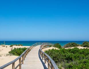 Canvas Print - Broadwalk to a sand beach, trees, ocean and blue sky