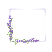 Vintage Lavender Field Scrapbook Free Stock Photo - Public Domain Pictures