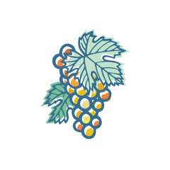 Grape. Hand drawn grape and vine stylized illustration. Bunch of grapes vector design element. Grape and vine logo and ornament. Part of set.