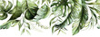 Leinwandbild Motiv Green tropical leaves on white background. Watercolor hand painted seamless border. Floral tropic illustration. Jungle foliage pattern.
