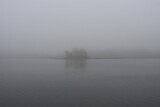 Fototapeta Na ścianę - Wetlands with pocket of trees across the water softened by thick fog