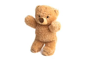 soft toy bear isolated