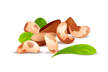 Poster - Brazil nut label. Brazillian nut, healthy food
