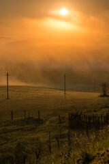 Wall Mural - simple aerial power lines at foggy morning in summer countryside