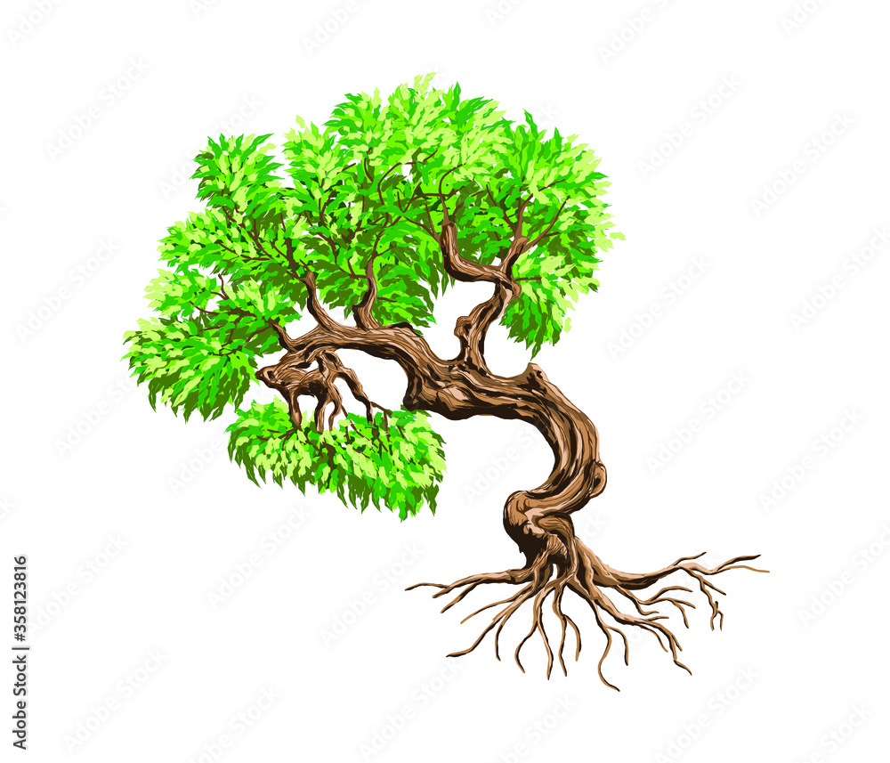 Tree logo design template, tree of life vector illustration. Stock ...