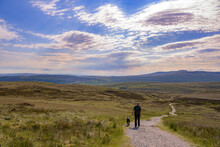 Walking The Dog, Yorkshire Dales