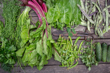 healthy dietary green food - peas, beans, chard, cucumbers, purslane, sorrel and onions