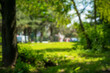 © Alrandir - Blurred panorama of a path through a lush green summer forest