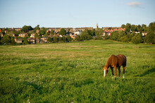 A View Of The West Common, Lincoln, Lincolnshire, United Kingdom - August 2009