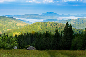 Canvas Print - Summer landscape in Apuseni Mountains, Romania