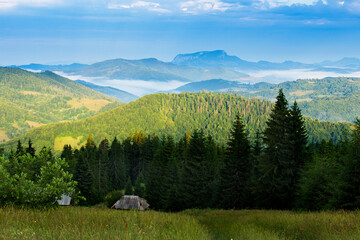 Wall Mural - Summer landscape in Apuseni Mountains, Romania