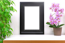 Empty Frame To Personalize Placed On A White Desk Next To A Computer, Pink Orchid Flower And A Potted Ficus Tree, For Staging A Photo Or Drawing, Pink Orchid With A Ladybug Placed On A Leaf