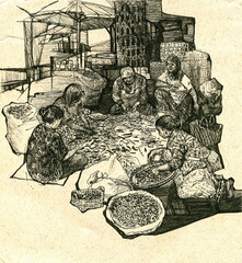 Women sort hot chili peppers on a street market in Pekanbaru, Sumatra Island, Indonesia. Detailed drawing by hand with a gel pen.