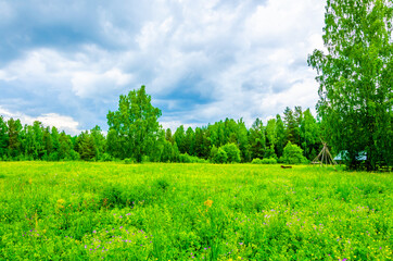 Lawn with green grass in the middle of the forest against the background of clouds 