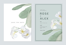 Floral Wedding Invitation Card Template Design, White Plumeria Flowers  With Leaves On Bright Green And White