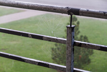 Spider's Web On Balcony Railings