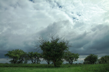 Wall Mural - thunderous epic clouds in a field near the old garden. stock photo background with heaven.