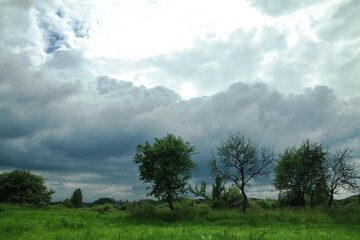 Wall Mural - thunderous epic clouds in a field near the old garden. stock photo background with heaven.