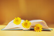 Yellow daisies between pages of books on a yellow background. The concept of summer reading, romantic sentimental literature.