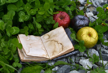 Poisonous magic apples and open diary with empty pages outdoors. Esoteric, gothic and occult background with magic objects, mystic and fairy tale concept