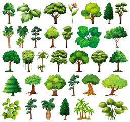 Wall Mural - set of variety plants and trees
