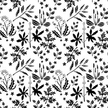Seamless Pattern With Flowers, Leaves, Herbs, Plants. Floral Repeating Background In Black Anh White