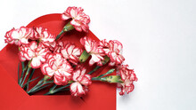 Red-white Carnations. Fresh Flowers In Red Envelope On A White Background. Blank For Postcards. Copy Space For Text. Top View. Carnations Peek Out From A Convertible Shot From Above.