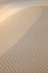 Wall Mural - Dunes in Canoa Quebrada beach, Ceará, brazil