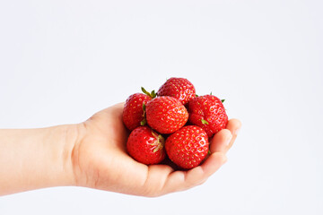 Hand holding a strawberries isolated on white background. Close up