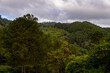 © Anton Ivanov Photo - Topes de Collantes, a nature reserve park in the Escambray Mountains range in Cuba.