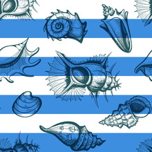 Seamless Seashell And Crab Hermit With Stripes Sketchy Pattern Vintage Vector Illustration