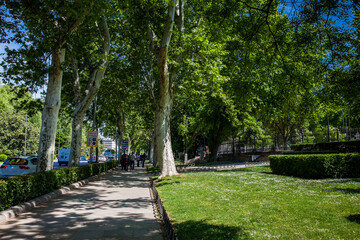 Wall Mural - View of the famous Paseo del Prado one of the main boulevards in Madrid