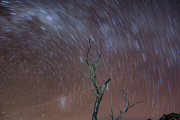 Night landscape