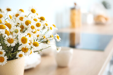 Vase with beautiful chamomiles on table in kitchen, closeup