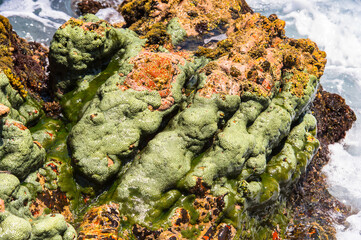 Wall Mural - It's Rocks and other formations of th Socotra Island