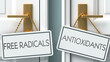 Free radicals and antioxidants as a choice, pictured as words Free radicals, antioxidants on doors to show that these are opposite options while making decision, 3d illustration