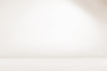 empty white room.